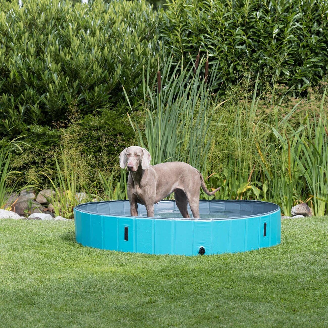 Trixie Hundepool Bild 10