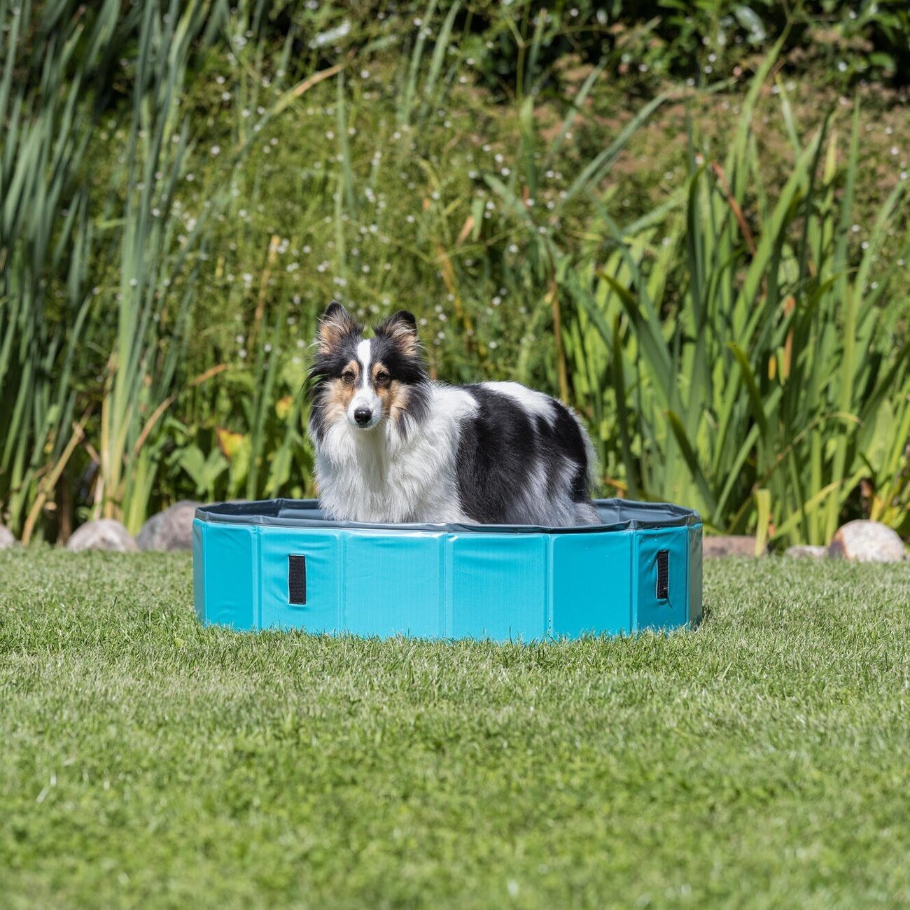 Trixie Hundepool Bild 12