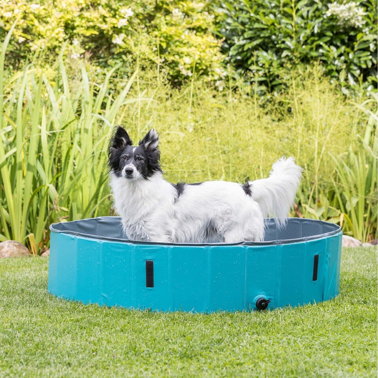 Trixie Hundepool Bild 2