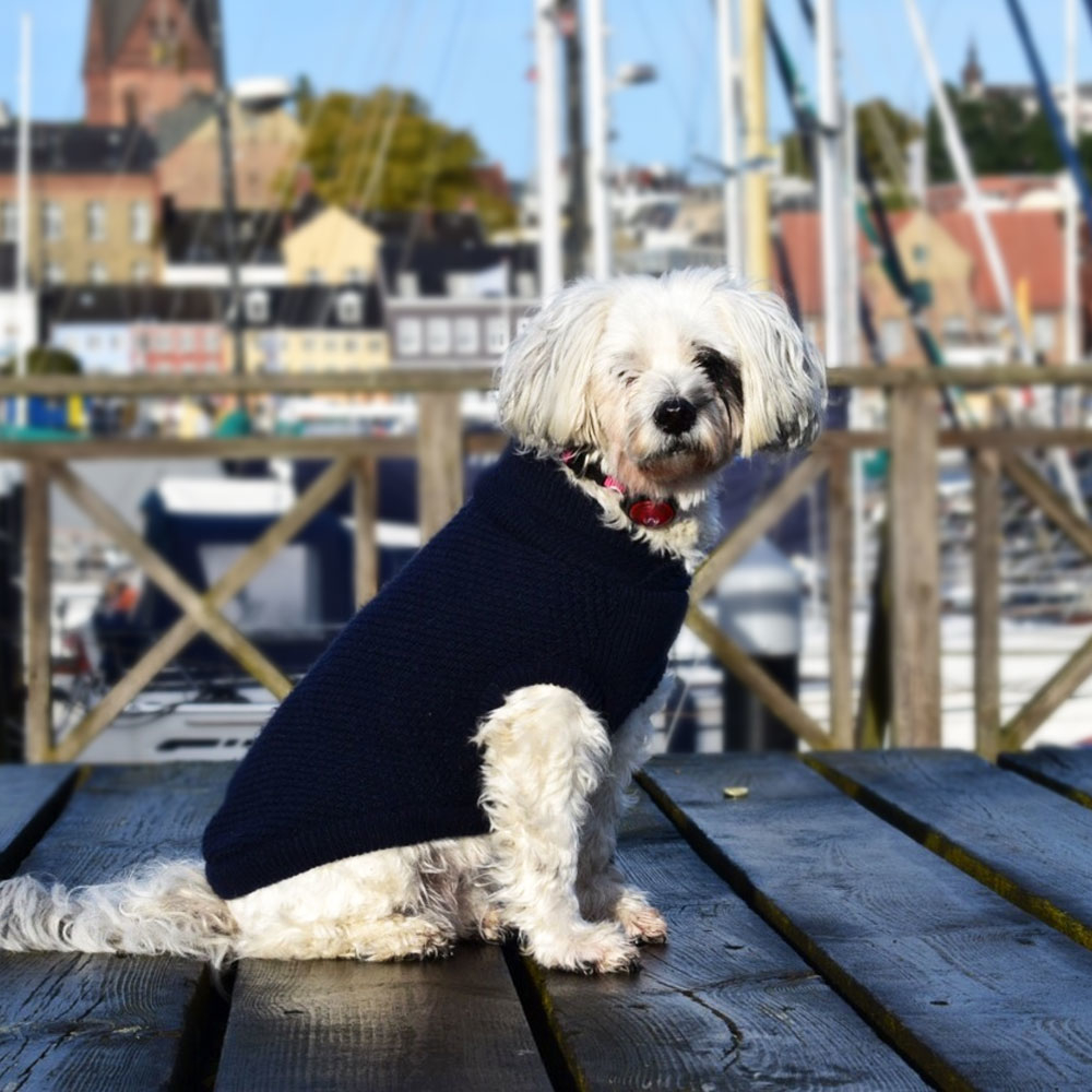 TRIXIE Carnia-Pullover Für Hunde - Kuscheliger Winterpulli In Gr. S, 33 Cm, Blau