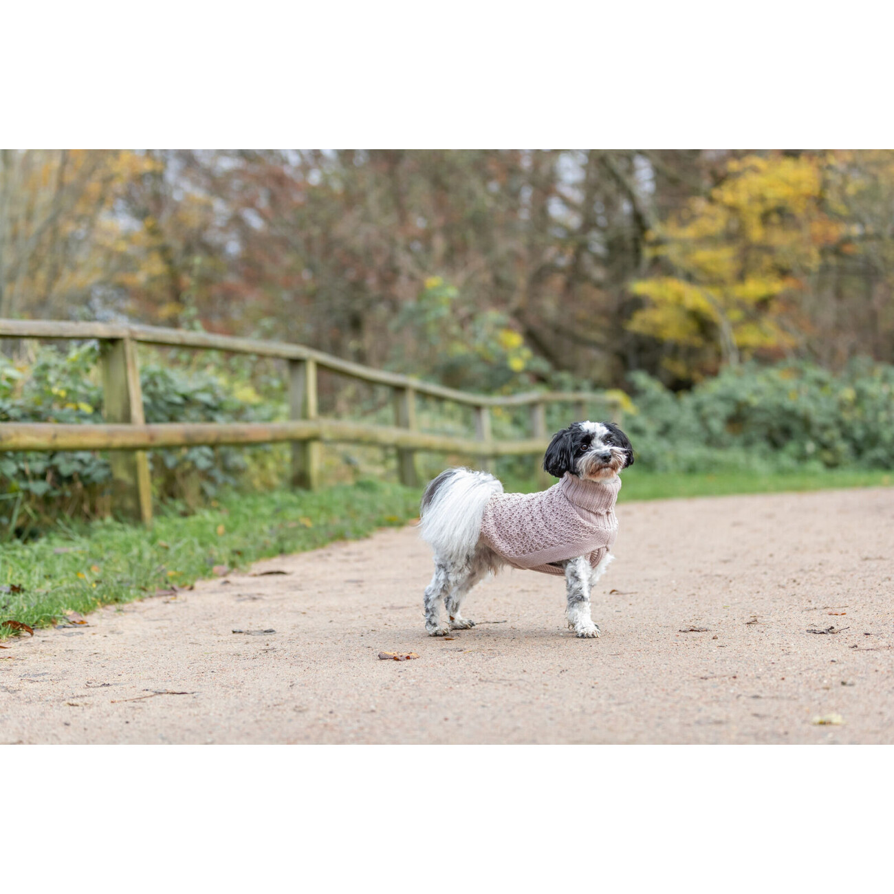 Hundepullover Norwood Bild 5