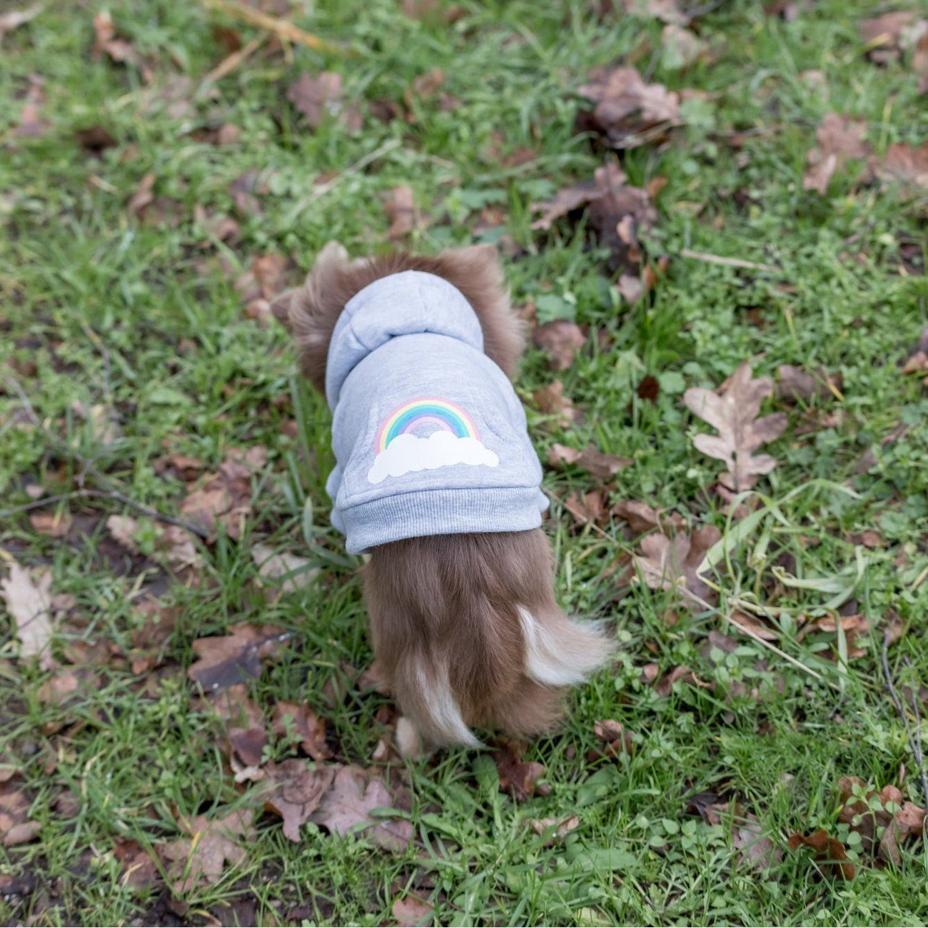 Hundepullover Rainbow Falls Bild 8