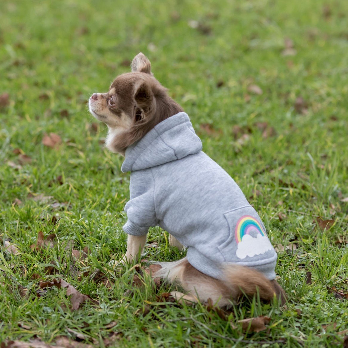 Hundepullover Rainbow Falls Bild 2
