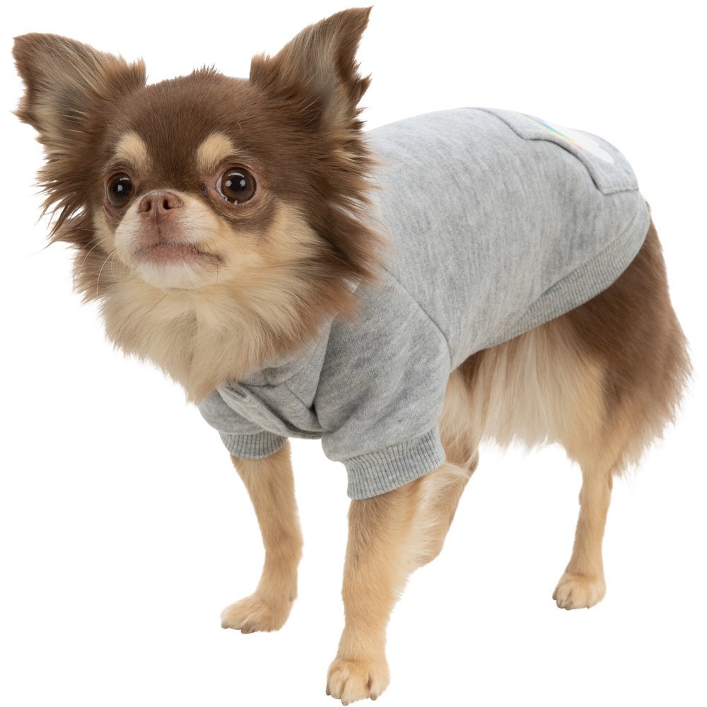 Hundepullover Rainbow Falls Bild 9