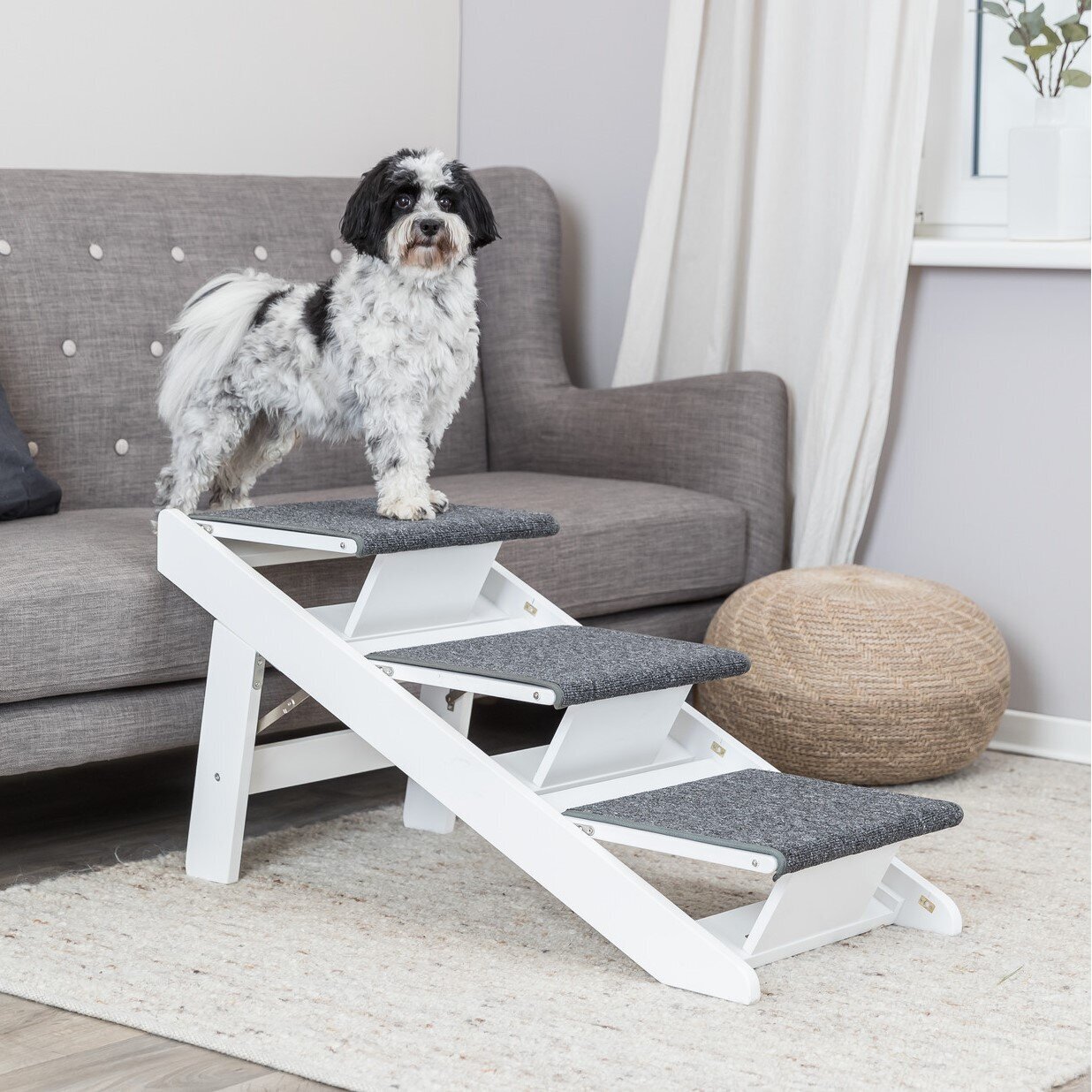 Hunderampe mit ausklappbaren Stufen Bild 3