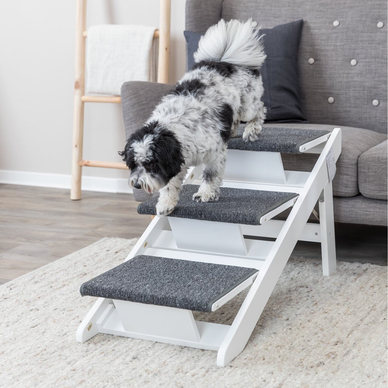 Hunderampe mit ausklappbaren Stufen Bild 4