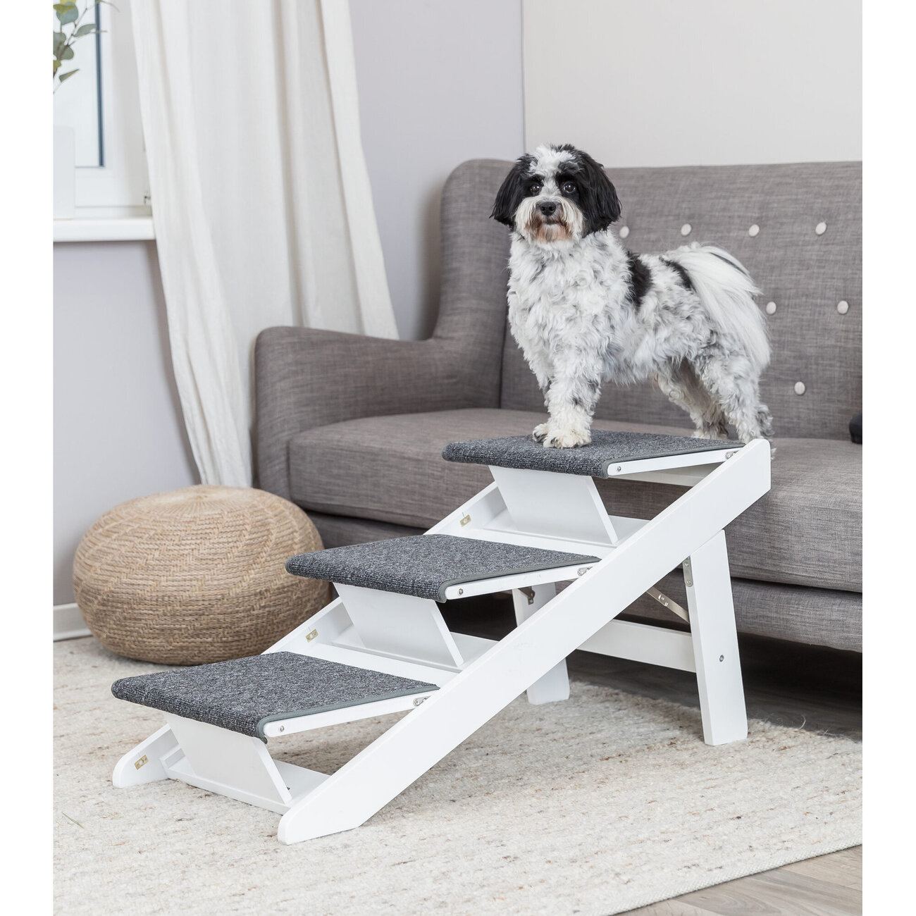 Hunderampe mit ausklappbaren Stufen Bild 8