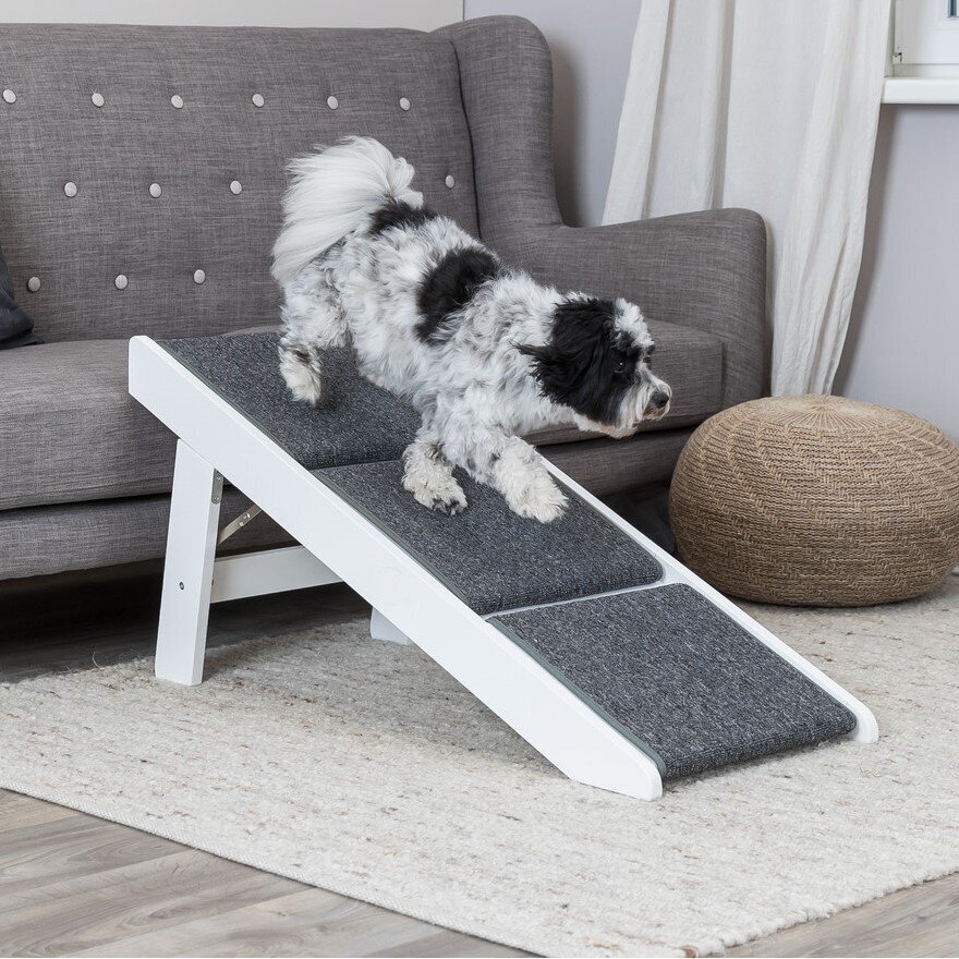 Hunderampe mit ausklappbaren Stufen Bild 2