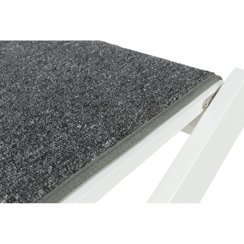 Hunderampe mit ausklappbaren Stufen Bild 16