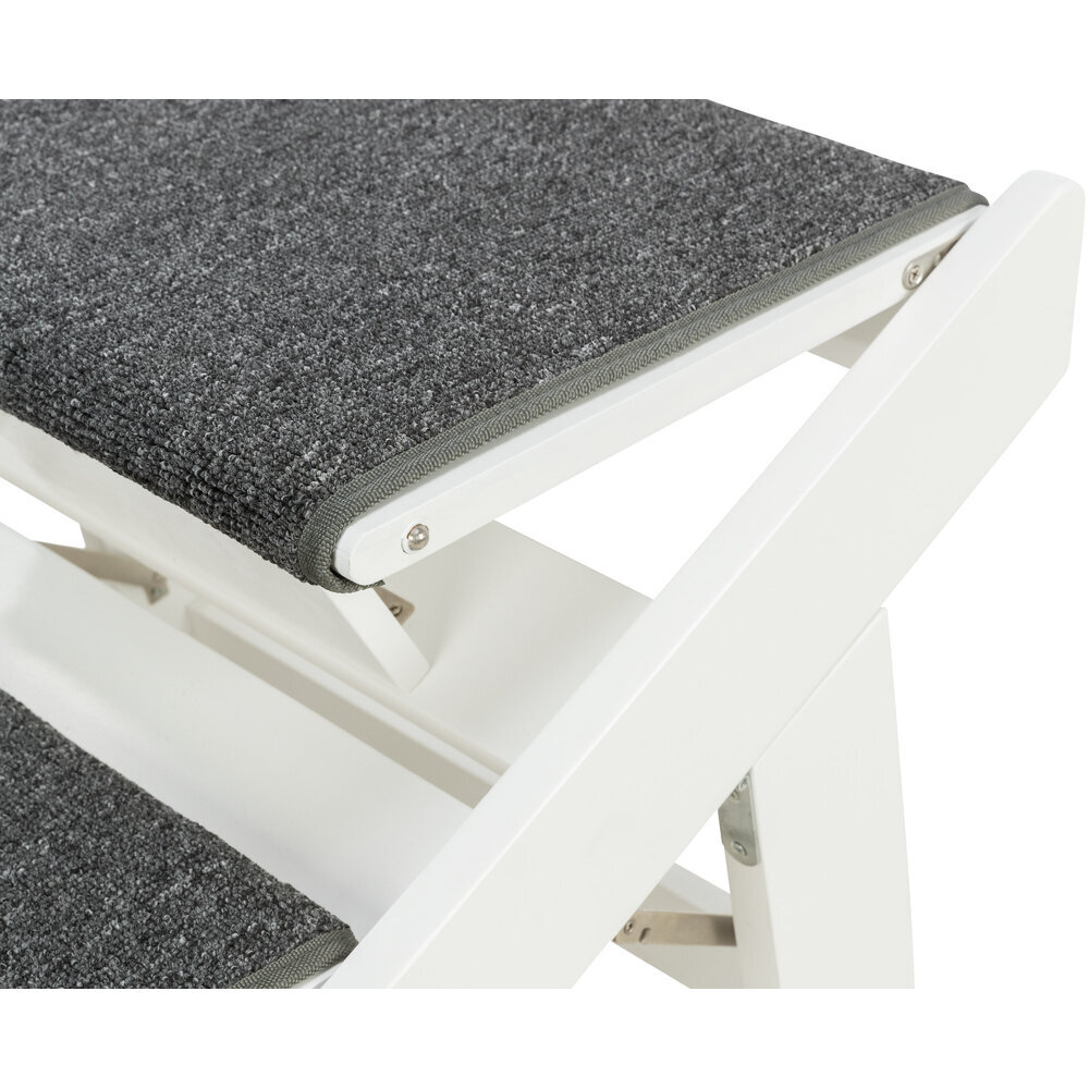 Hunderampe mit ausklappbaren Stufen Bild 17