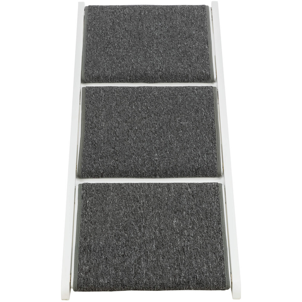 Hunderampe mit ausklappbaren Stufen Bild 12