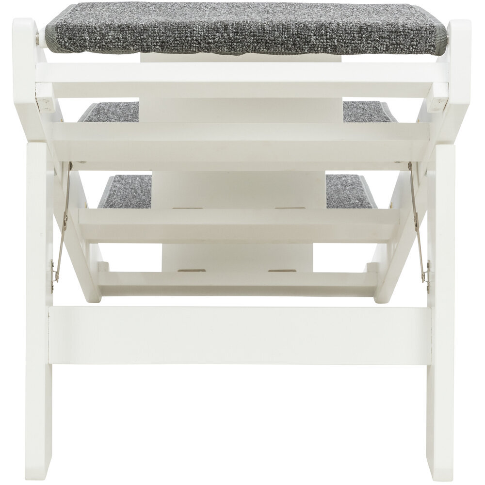 Hunderampe mit ausklappbaren Stufen Bild 14