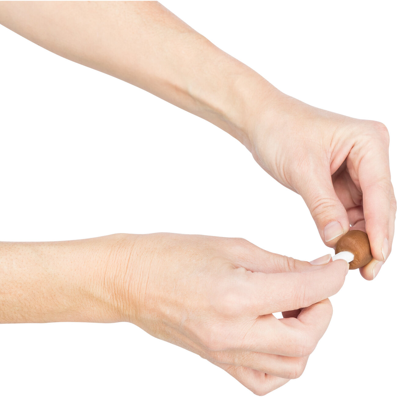 Hundesnack Tabletten Versteck Bild 7