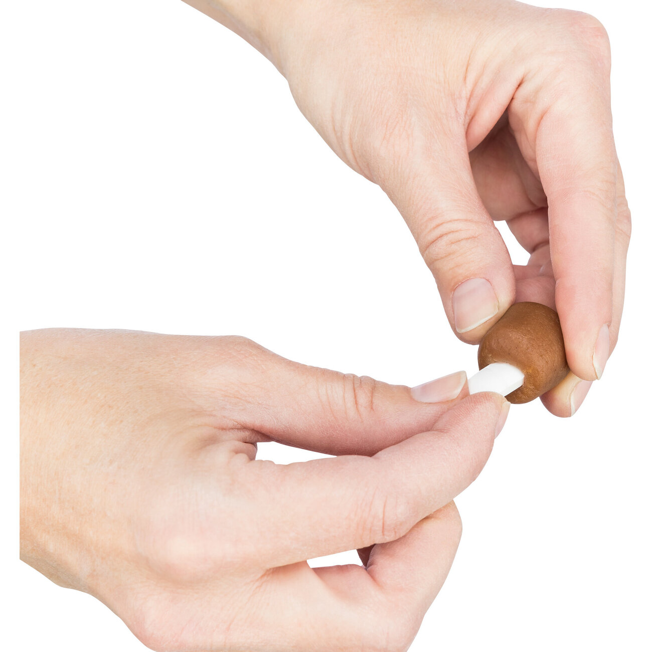 Hundesnack Tabletten Versteck Bild 9