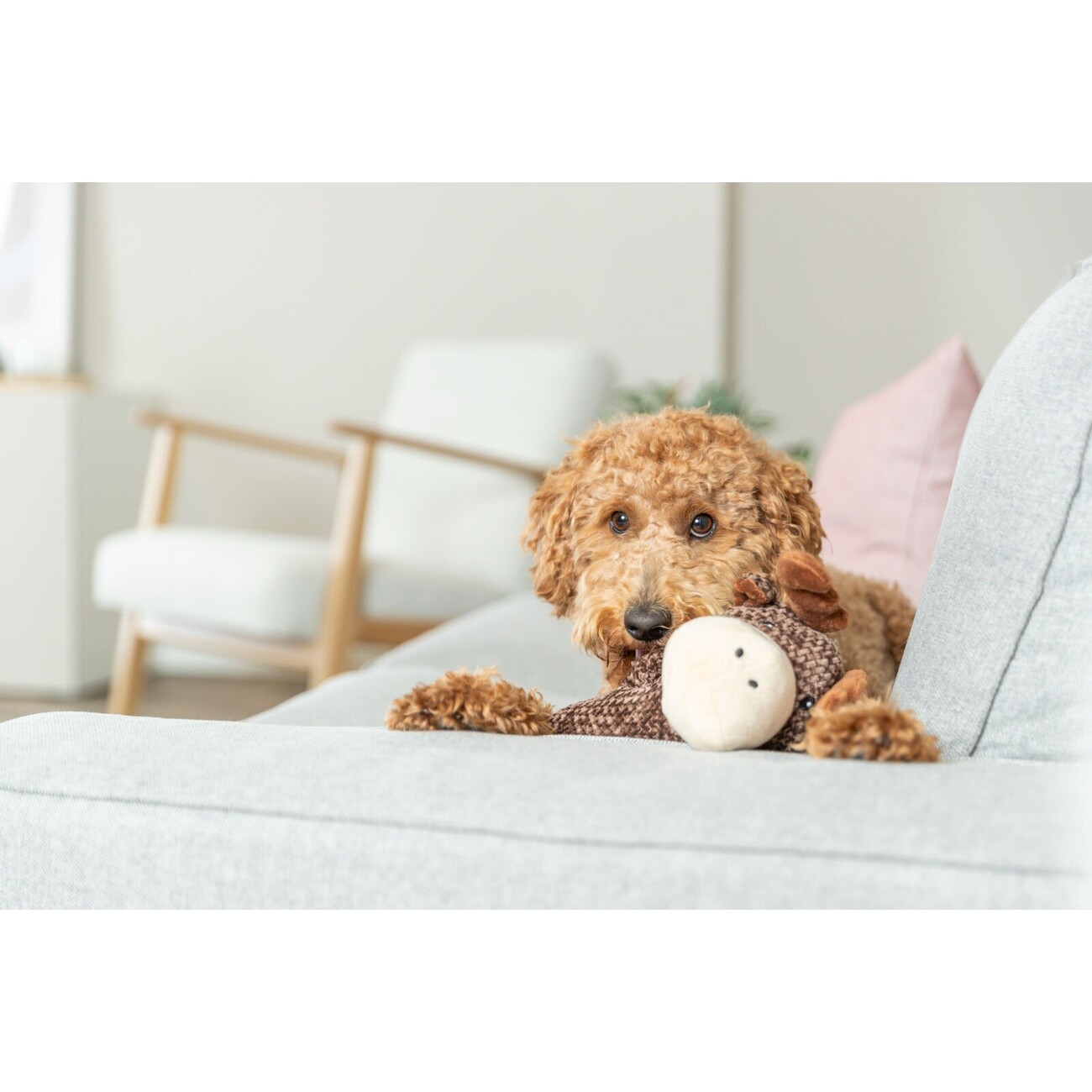 Hundespielzeug Elch aus Plüsch Bild 4