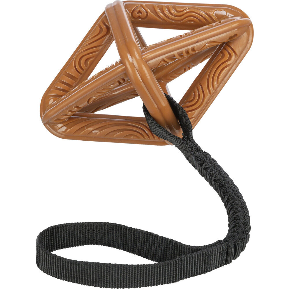 Hundespielzeug Raute am Bungee-Seil CityStyle Bild 2