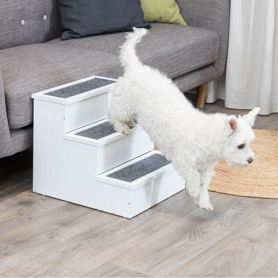 Hundetreppe aus Holz Bild 6