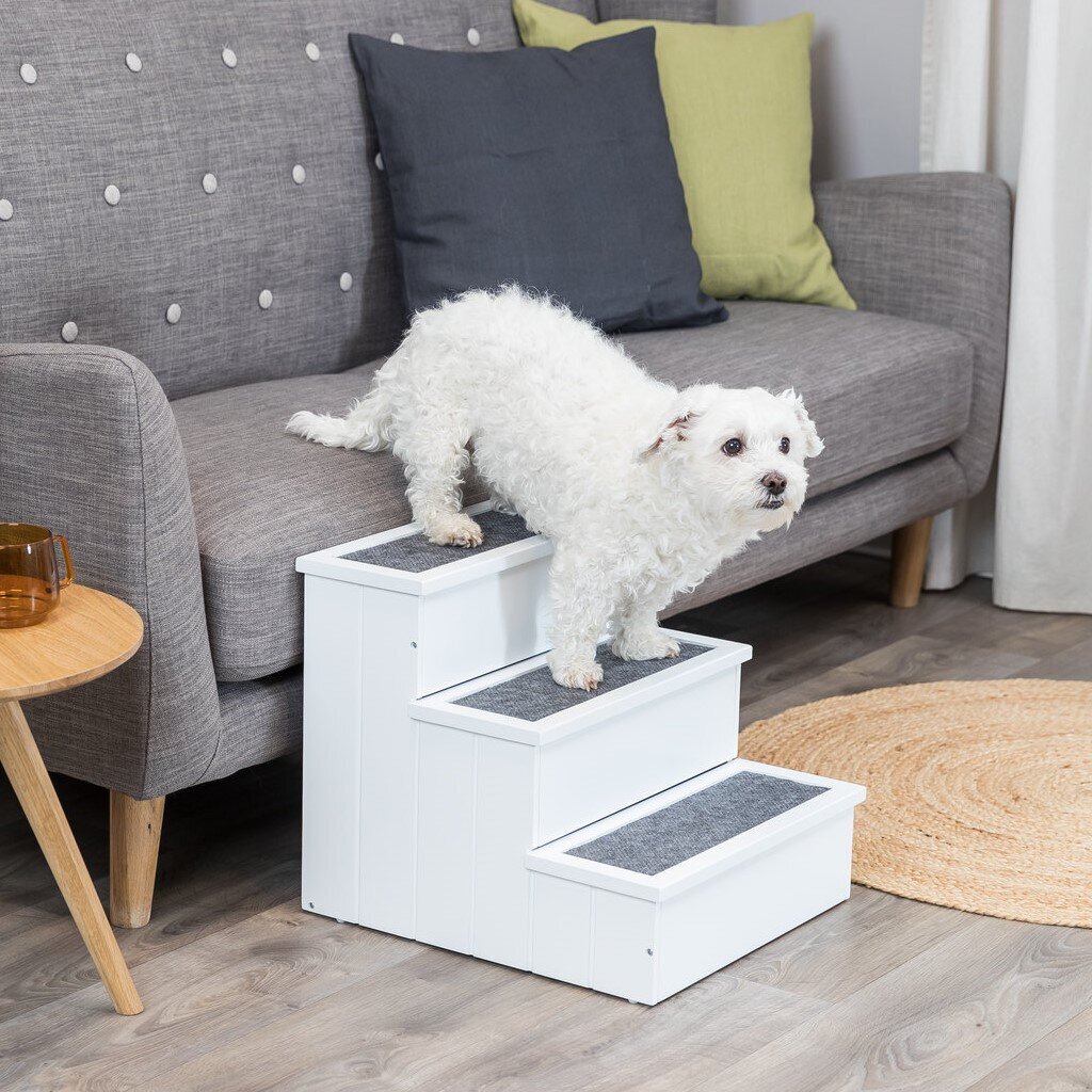 Hundetreppe aus Holz Bild 3