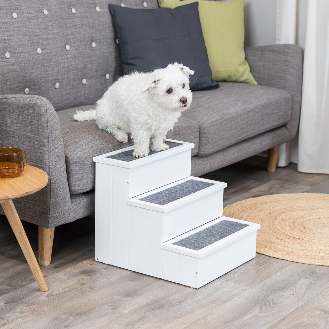 Hundetreppe aus Holz Bild 2