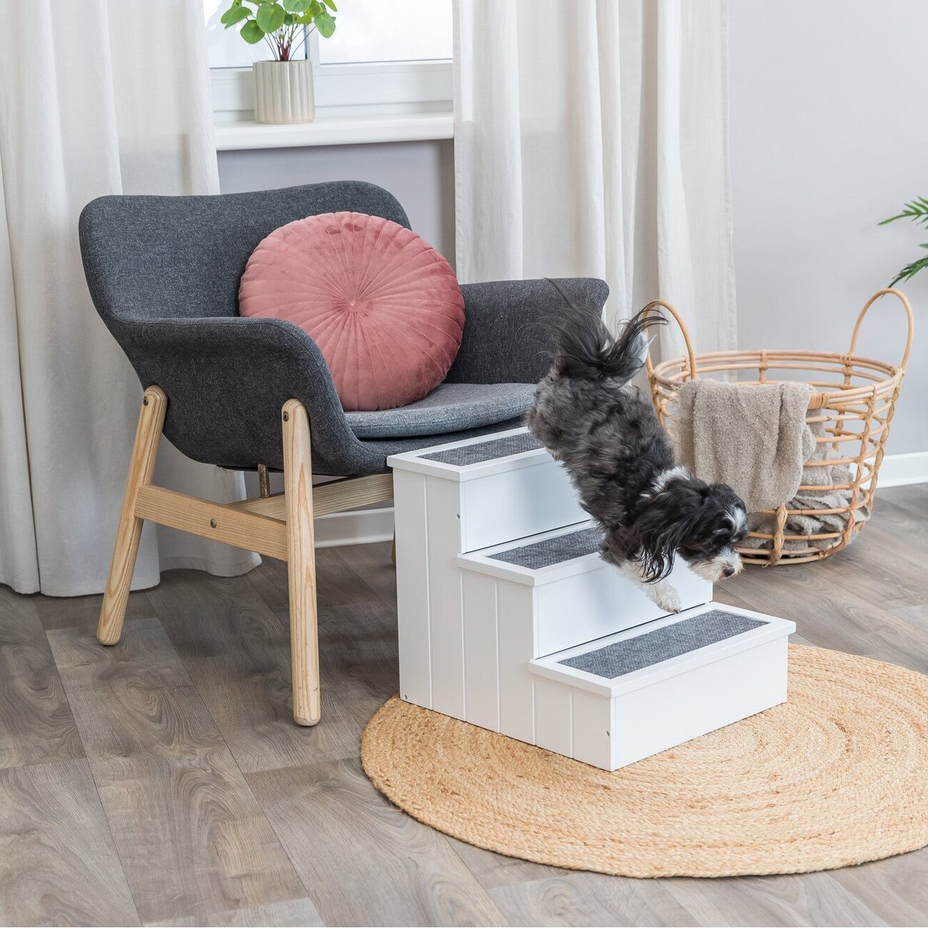 Hundetreppe aus Holz Bild 7