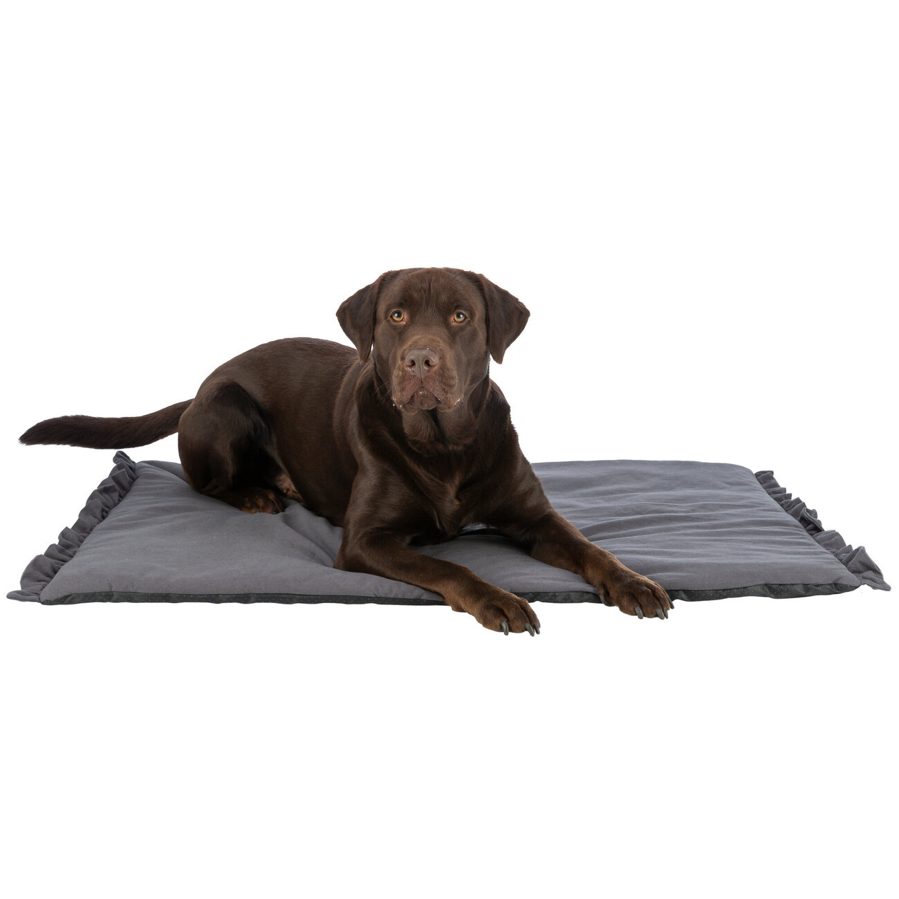 Hygienematte für Hunde Soft Edition Bild 2