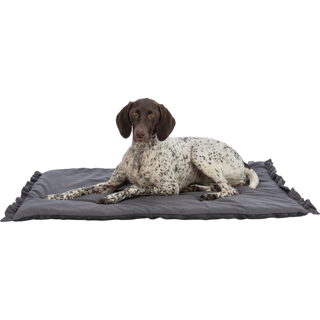 Hygienematte für Hunde Soft Edition Bild 5