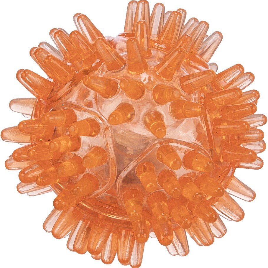 Igel Blinkball für Hunde aus TPR Bild 1