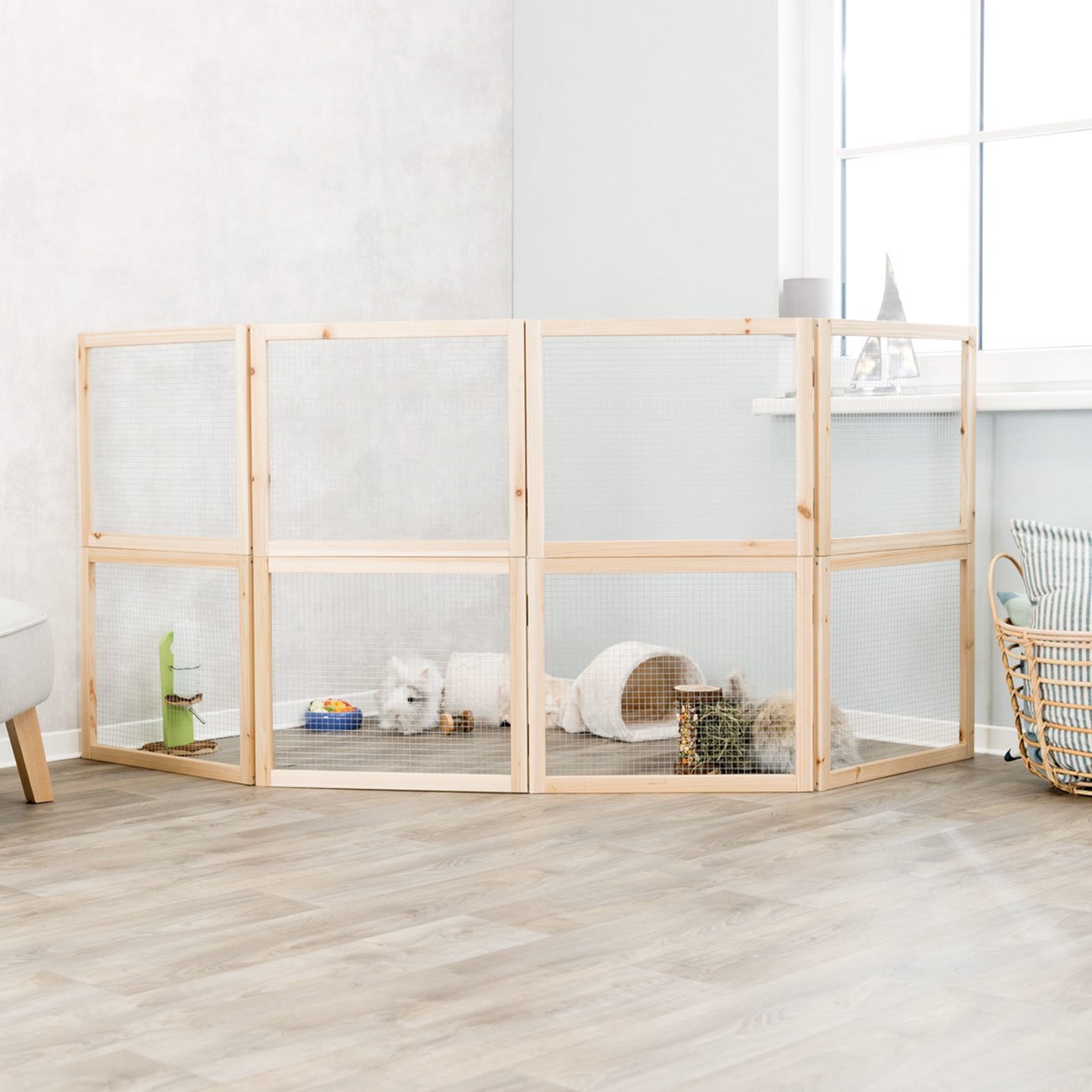 Indoor Freilaufgehege Bild 3