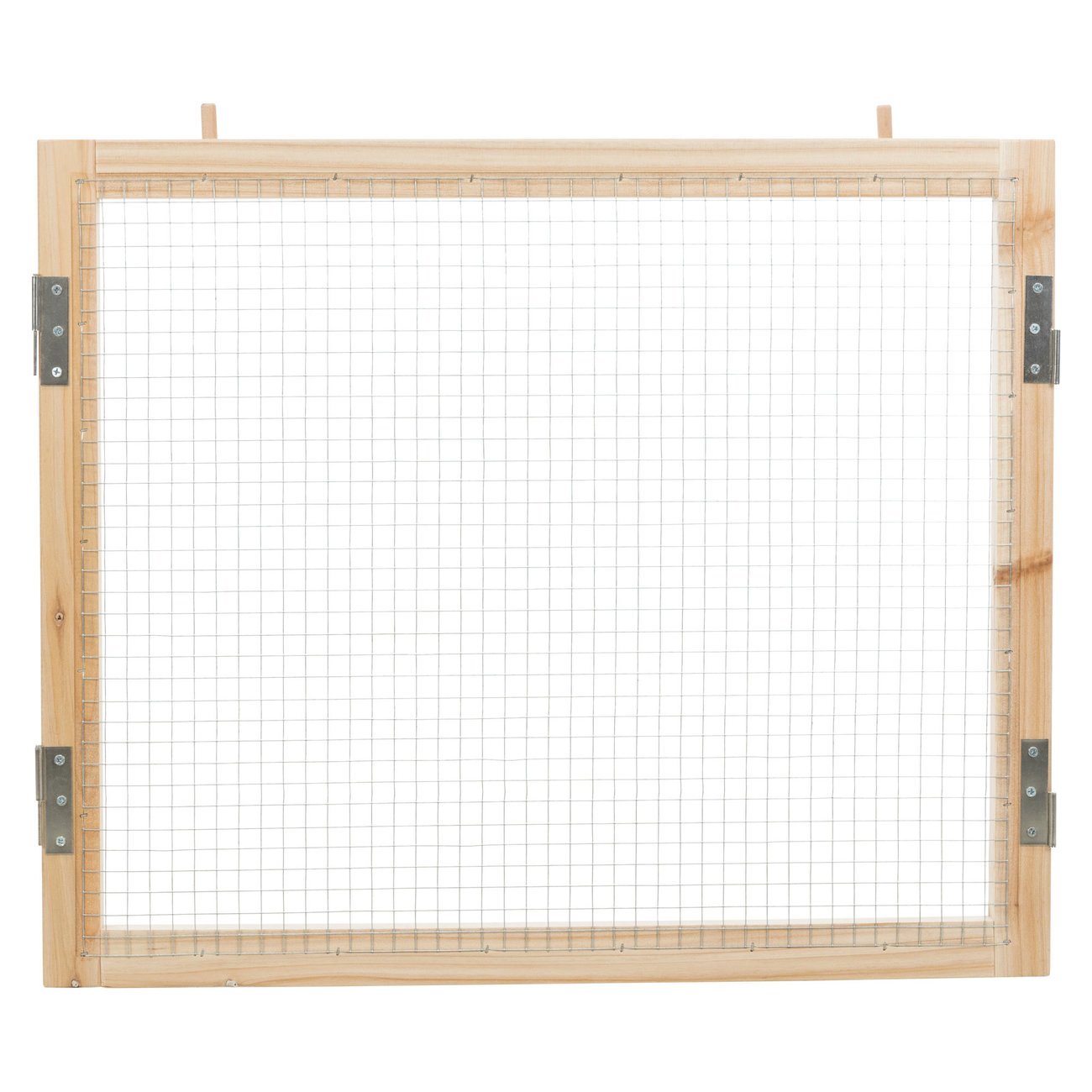 Indoor Freilaufgehege Bild 4