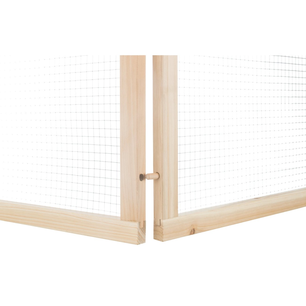 Indoor Freilaufgehege Bild 5