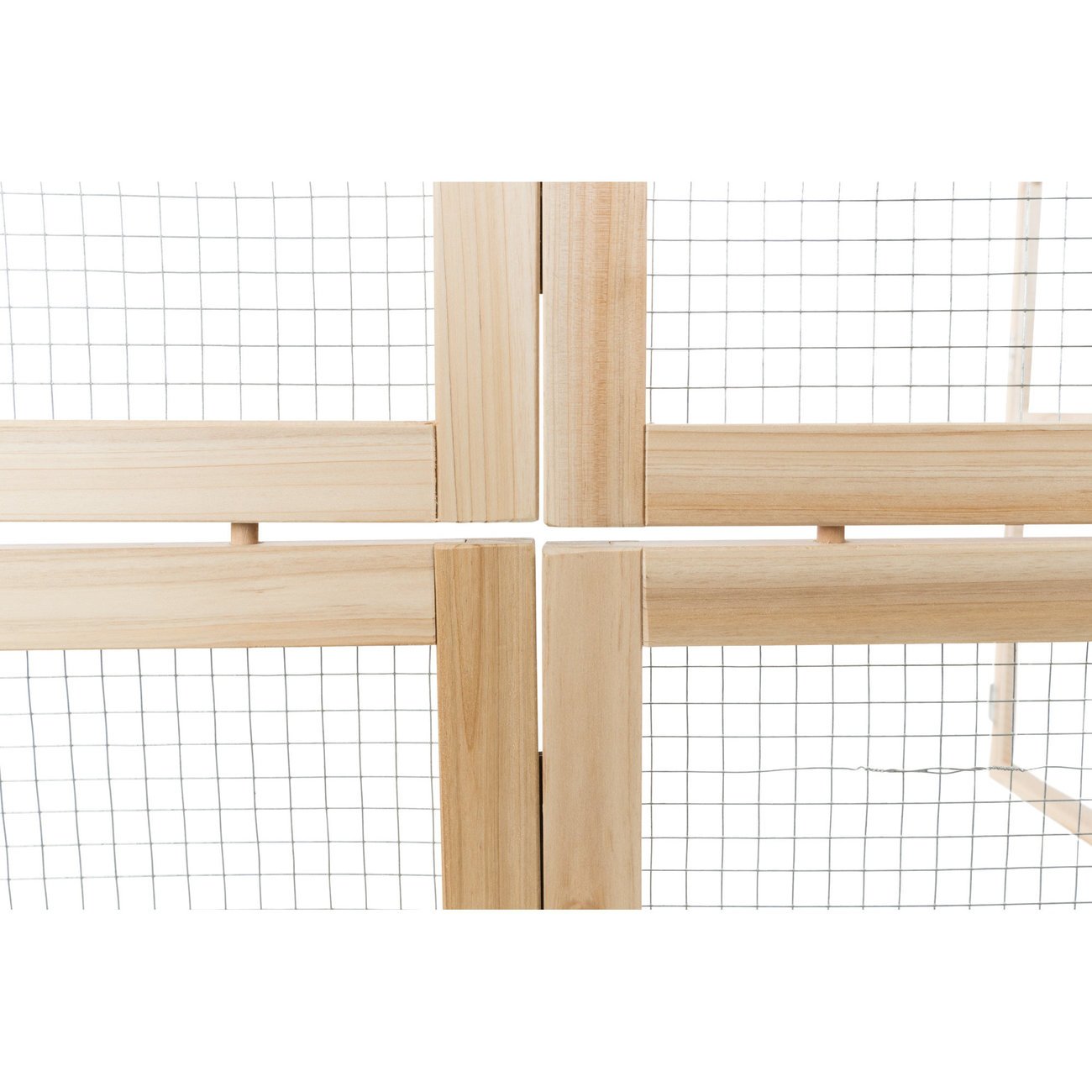 Indoor Freilaufgehege Bild 6