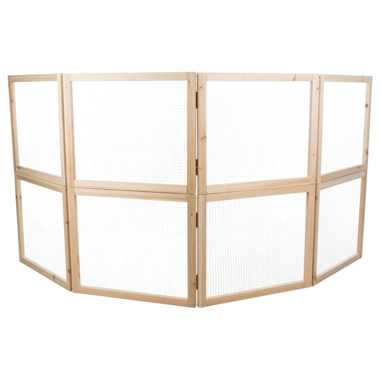 Indoor Freilaufgehege Bild 7