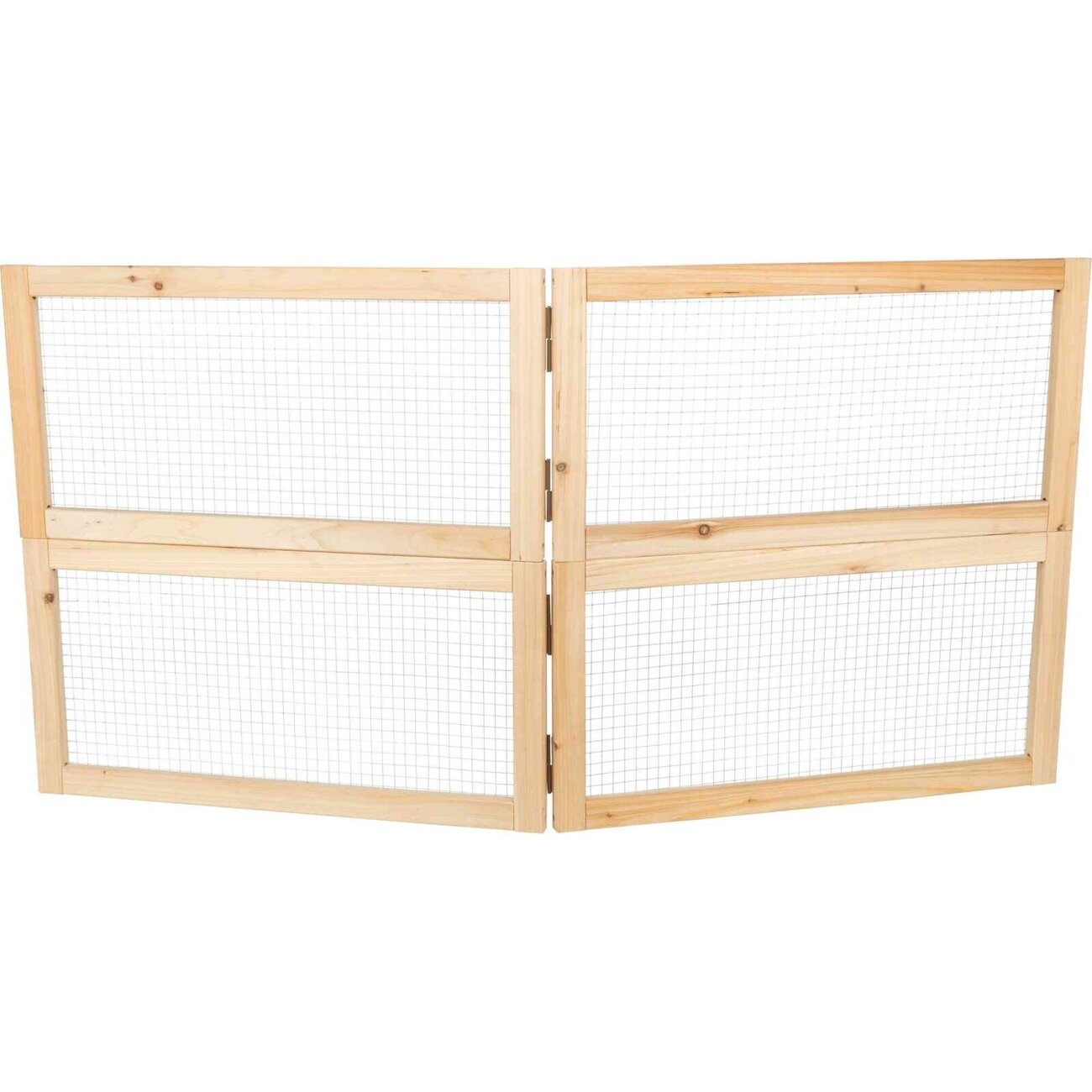 Indoor Freilaufgehege Bild 9