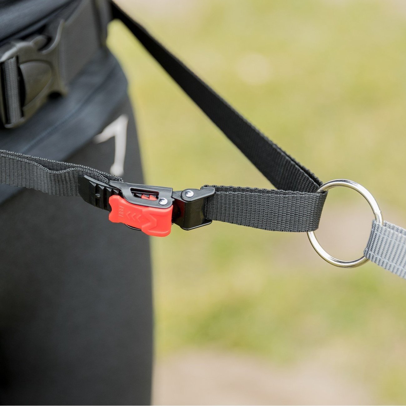Joggingleine Hund mit Schnelllösefunktion Bild 5