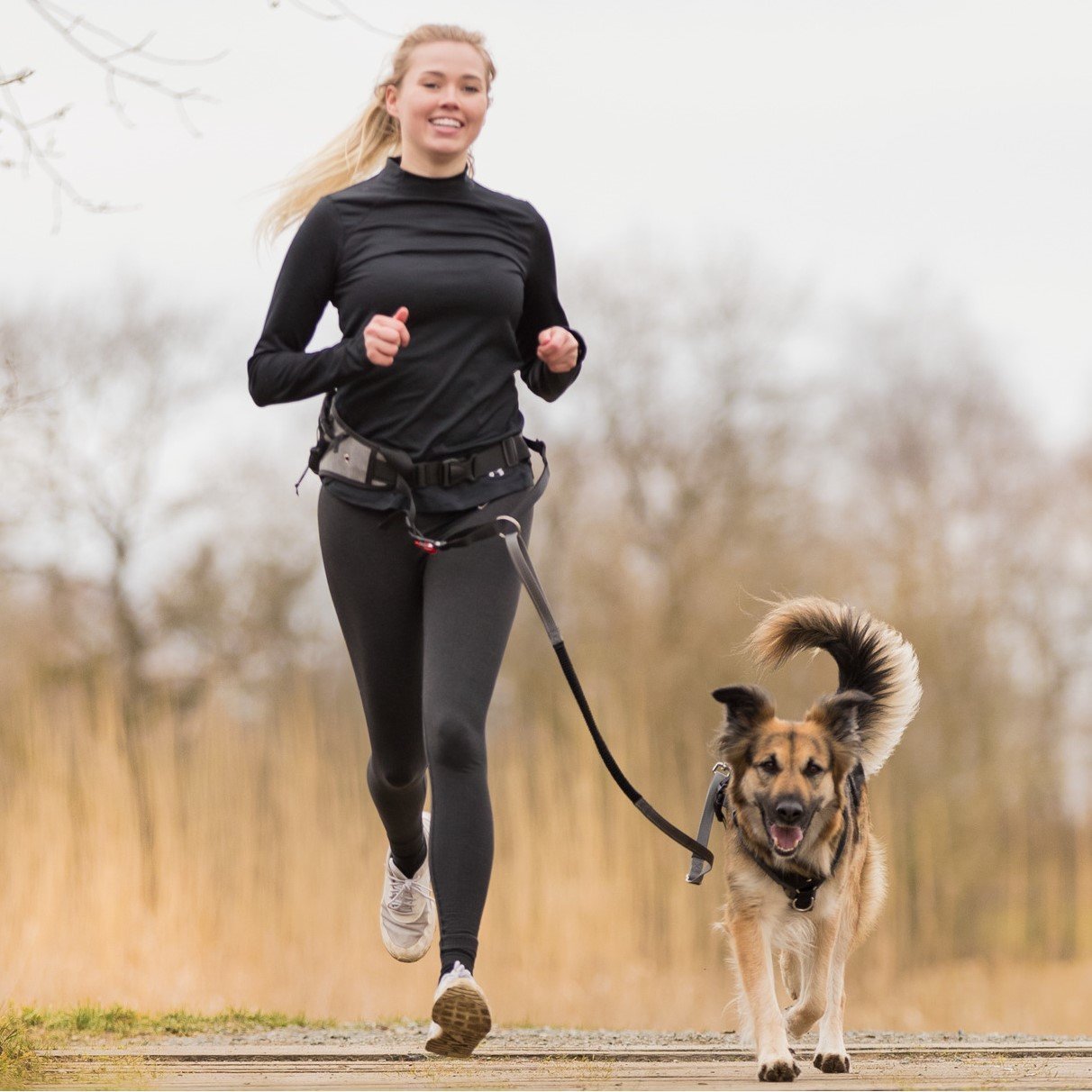 Joggingleine Hund mit Schnelllösefunktion Bild 2