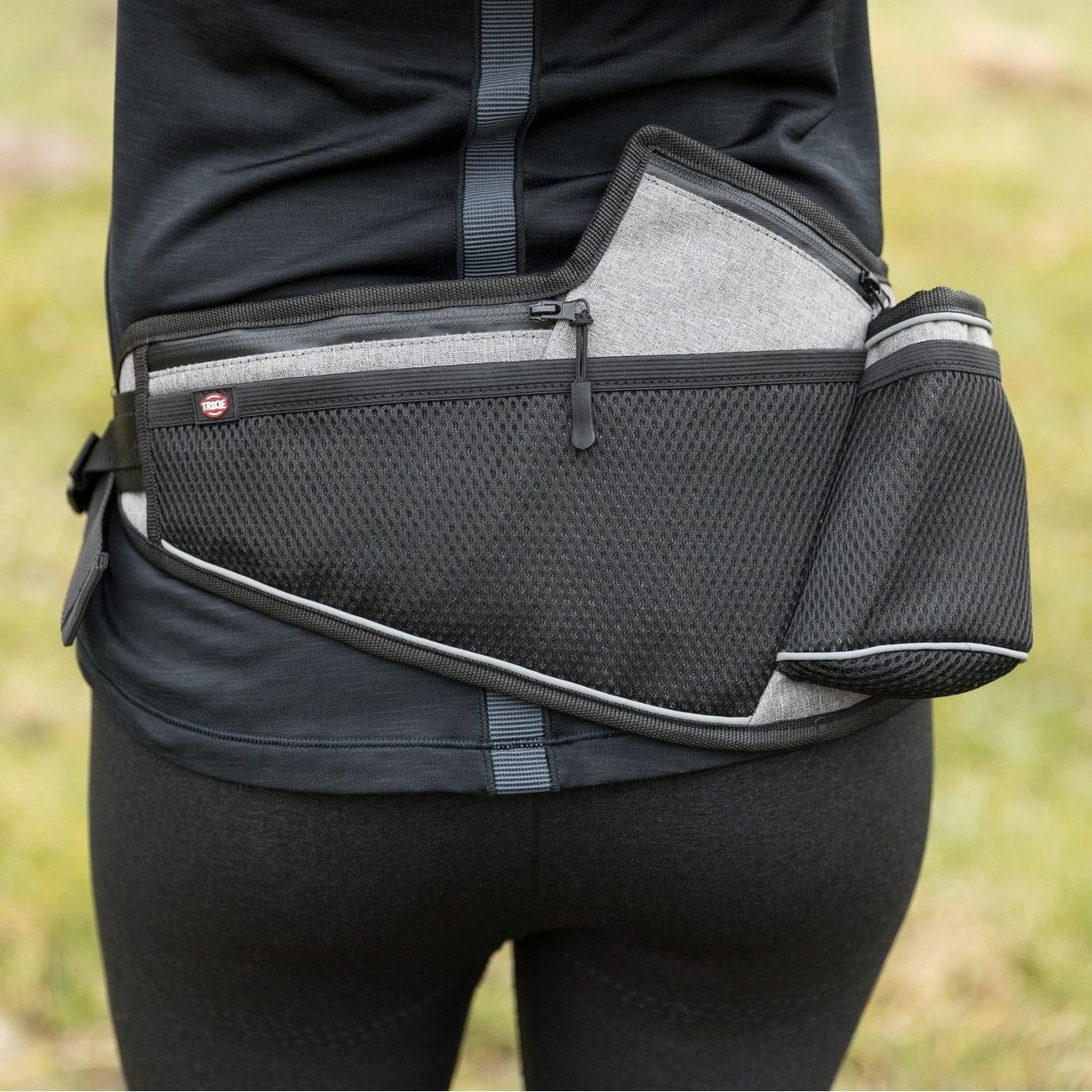 Joggingleine Hund mit Schnelllösefunktion Bild 4