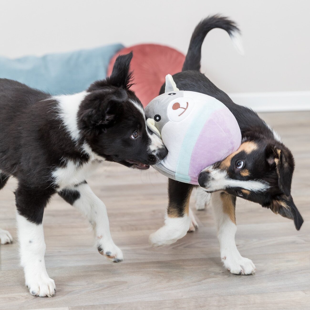 Junior Bär für Jungtiere Bild 2