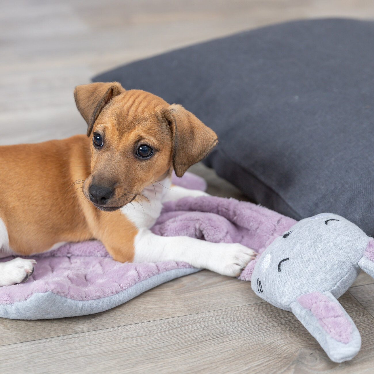 Welpendecke mit Hase Bild 2