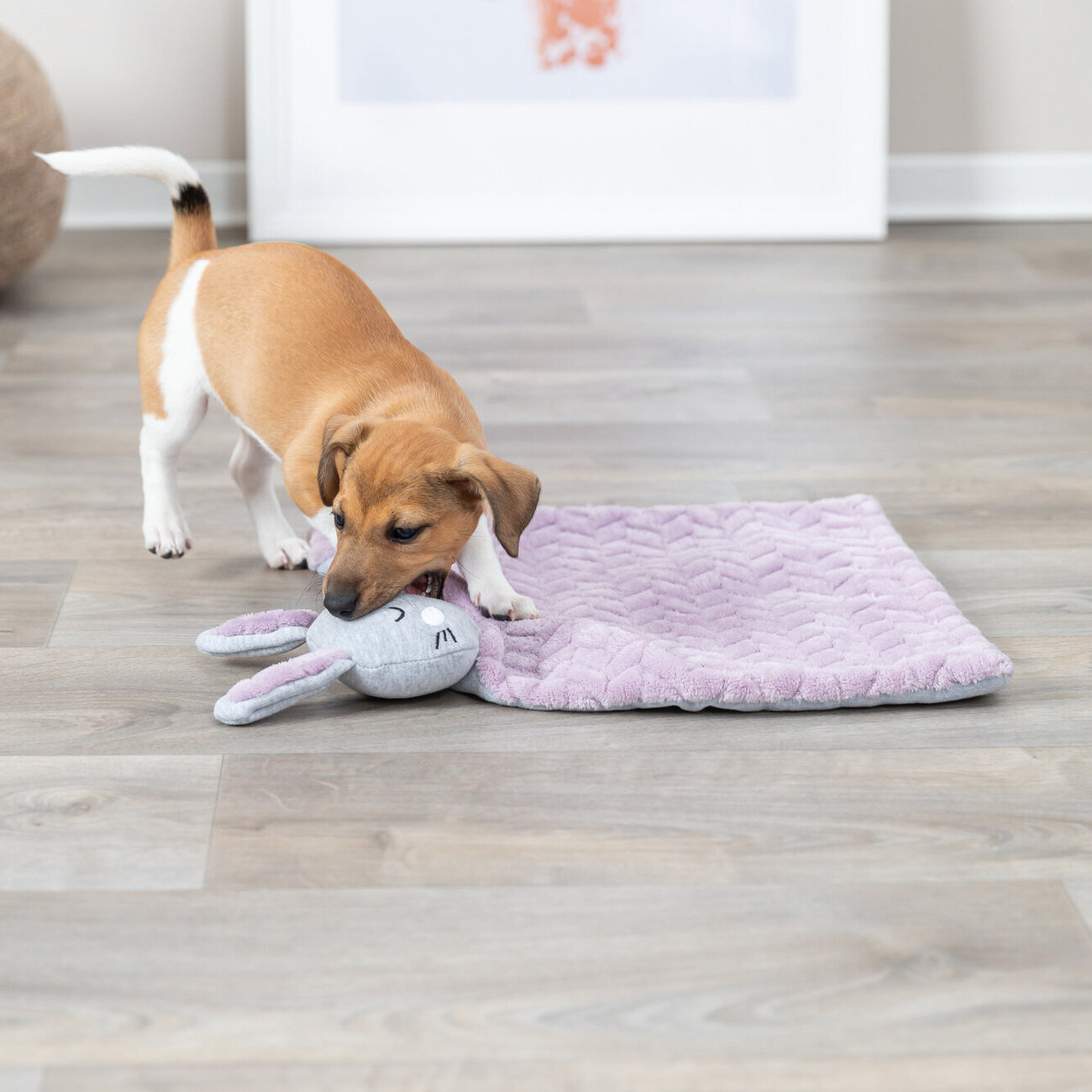 Welpendecke mit Hase Bild 4