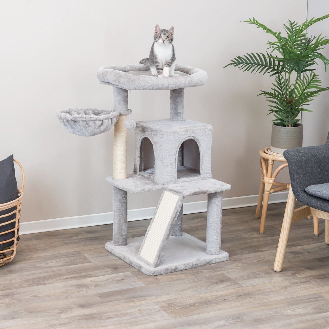 Junior Kratzbaum Pepito Bild 3