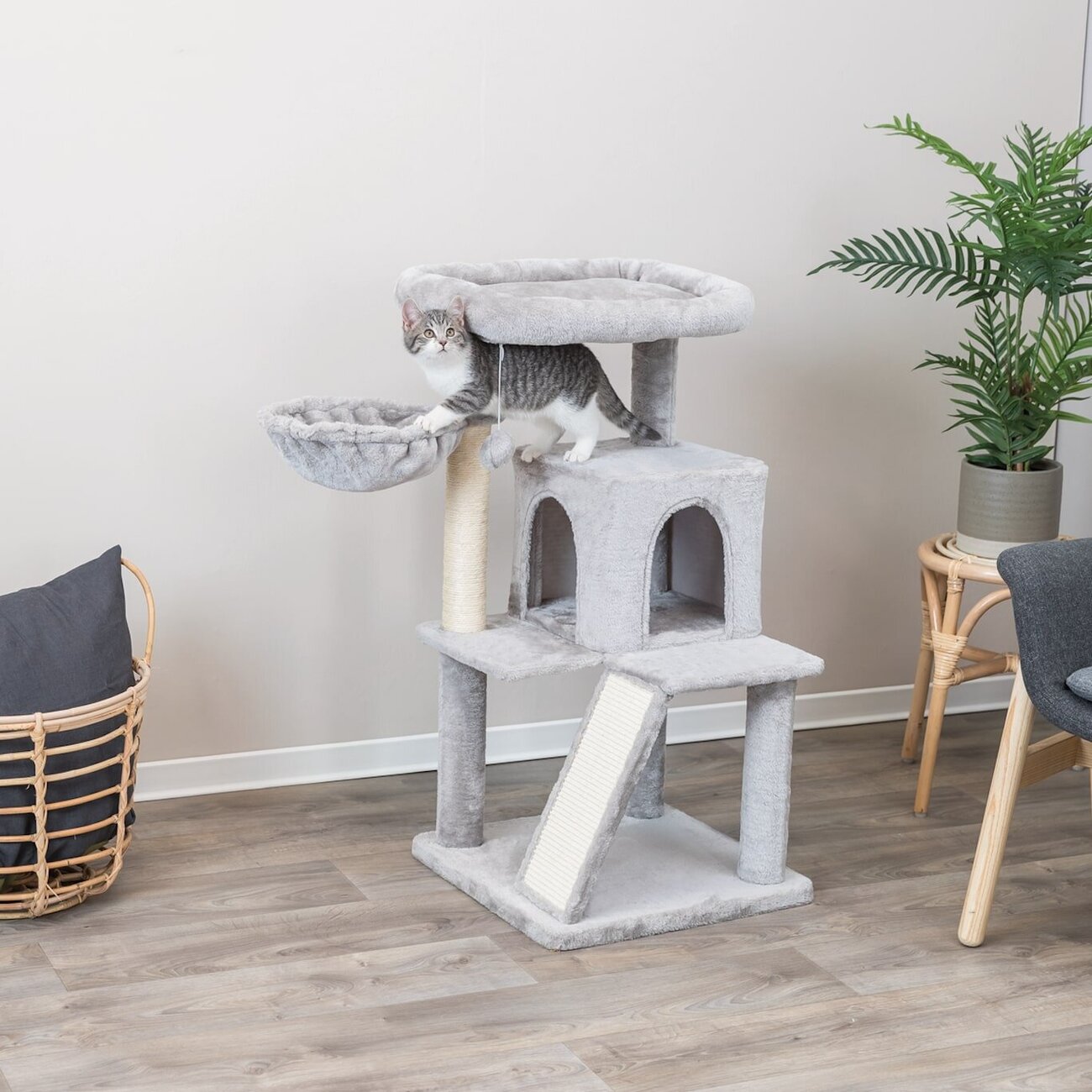 Junior Kratzbaum Pepito Bild 2