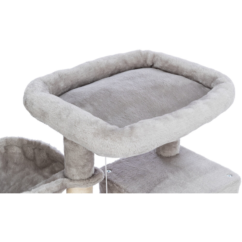 Junior Kratzbaum Pepito Bild 8