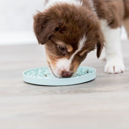 Junior Lick’n'Snack Schleckplatte für Welpen Bild 8