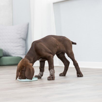 Junior Lick’n'Snack Schleckplatte für Welpen Bild 9