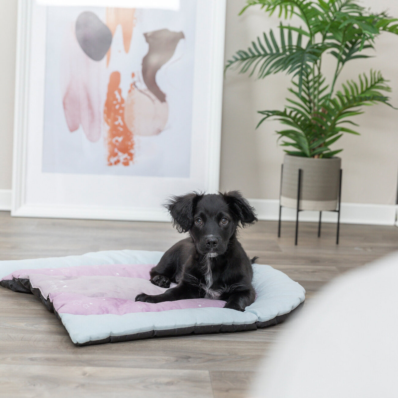 Welpenliegematte Patchwork Bild 2