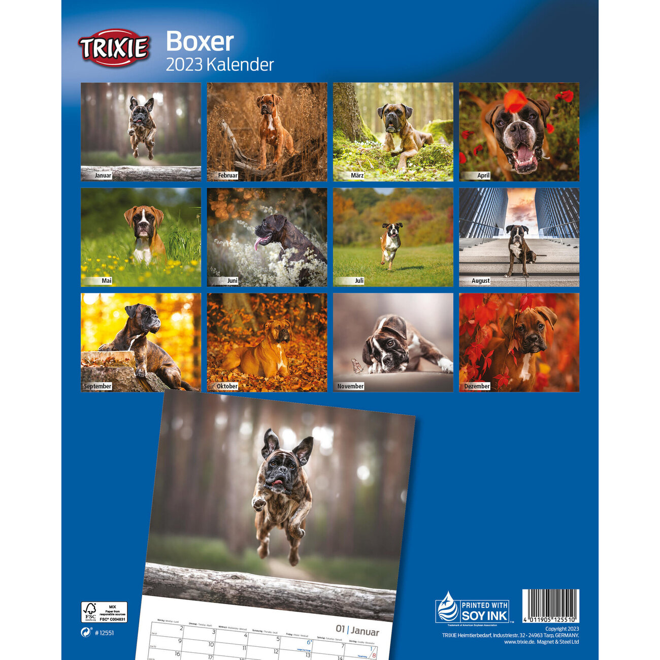 Kalender Boxer Bild 2
