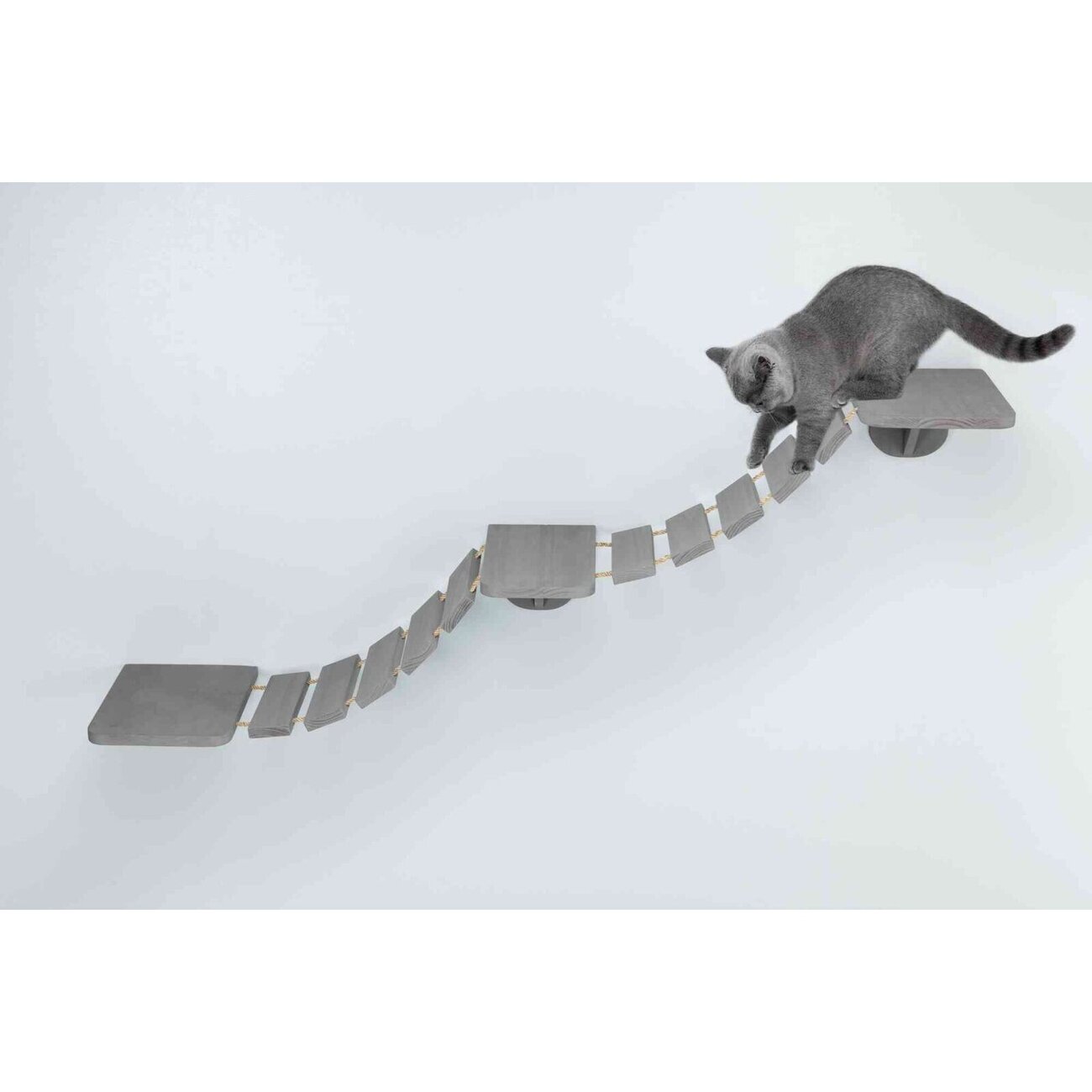 Katzen Kletterleiter zur Wandmontage Bild 3