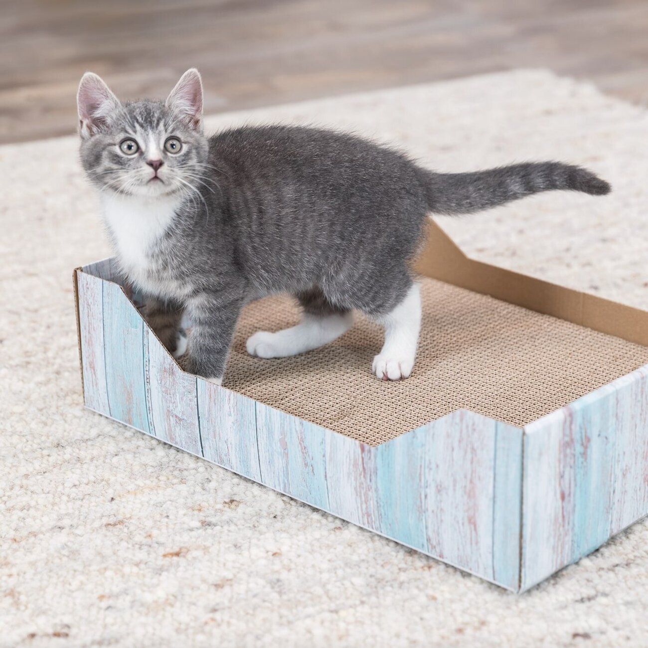 Katzen Kratzbett in bunter Holzoptik Bild 4