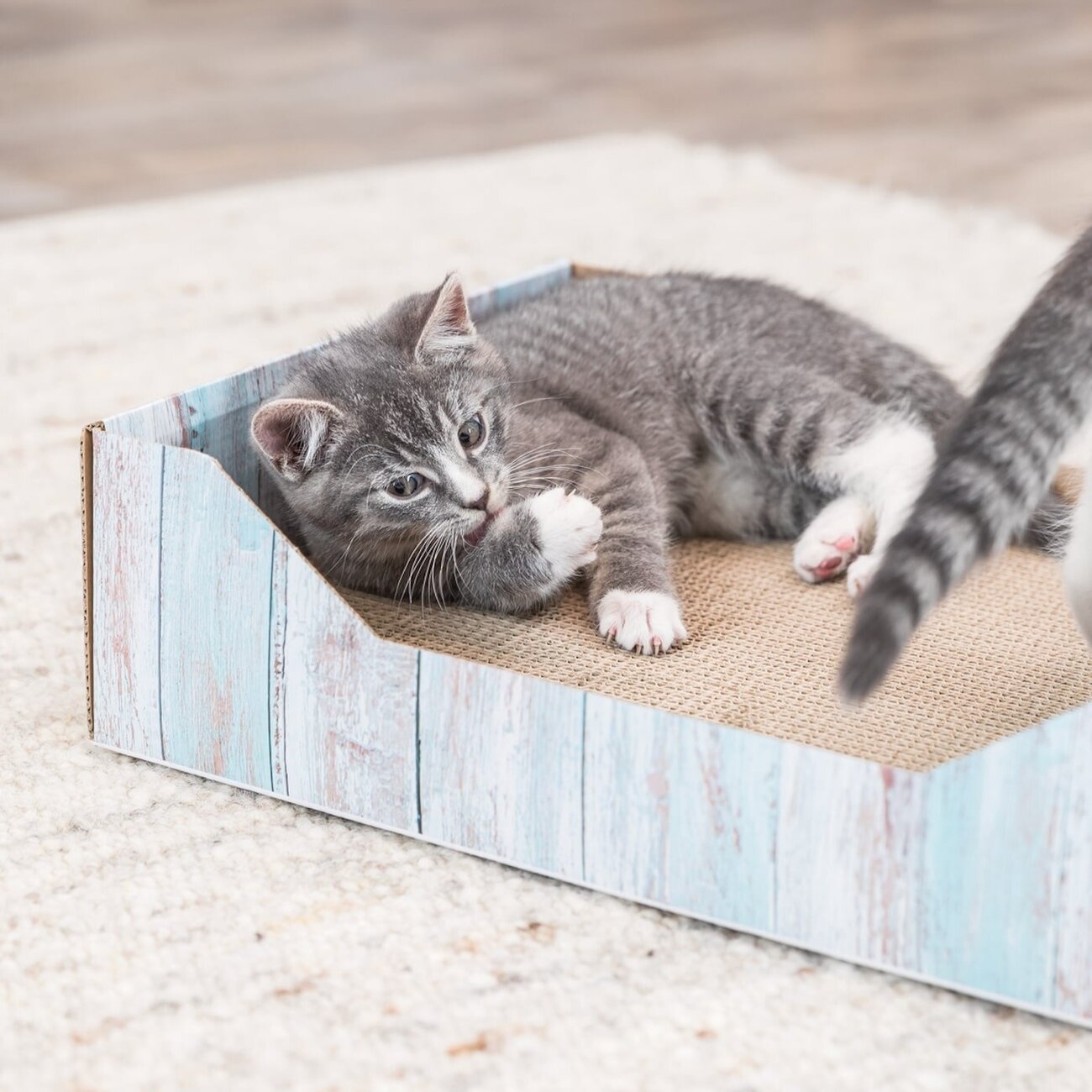 Katzen Kratzbett in bunter Holzoptik Bild 2