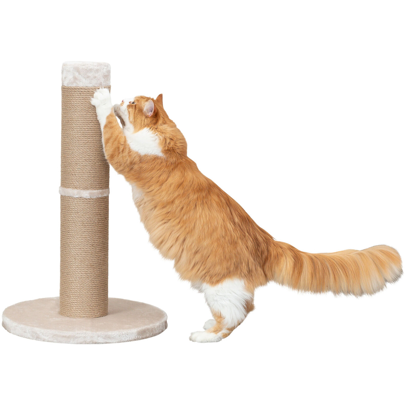 Katzen Kratzstamm XXL Gabriella Bild 2